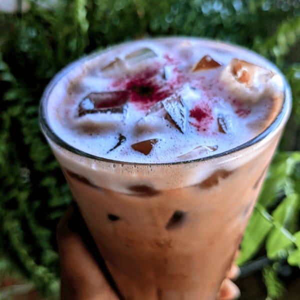 Iced coffee with foamed milk and a red berry topping, held against a green leafy background.