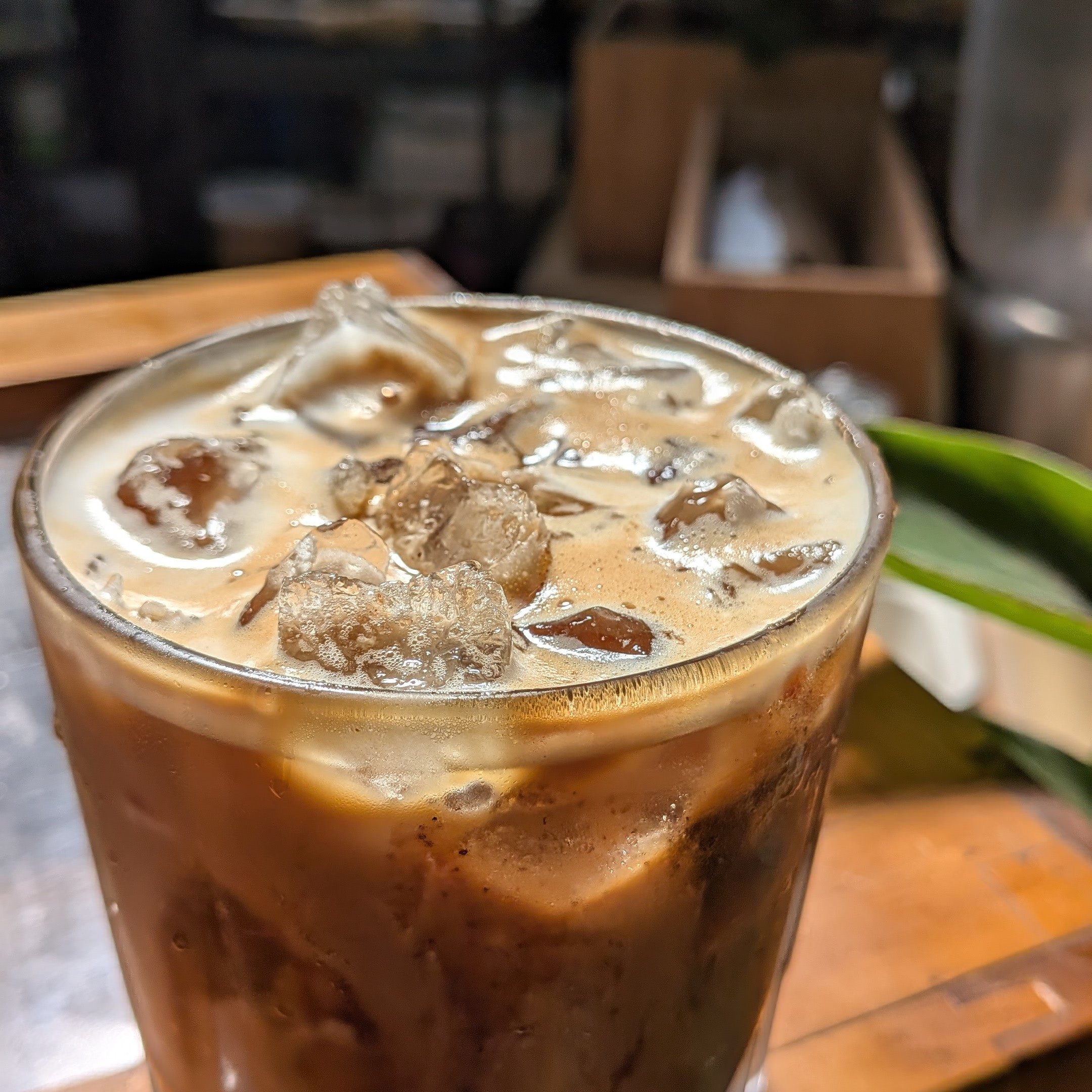 🌿 FIG LEAF ICED OAT LATTE— Stay Steady.